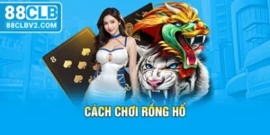 Cách chơi rồng hổ cho người mới bắt đầu