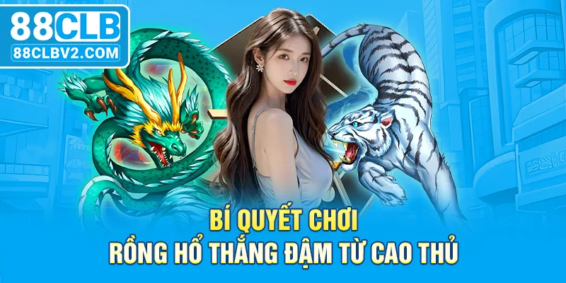 Bí quyết chơi rồng hổ thắng đậm từ cao thủ